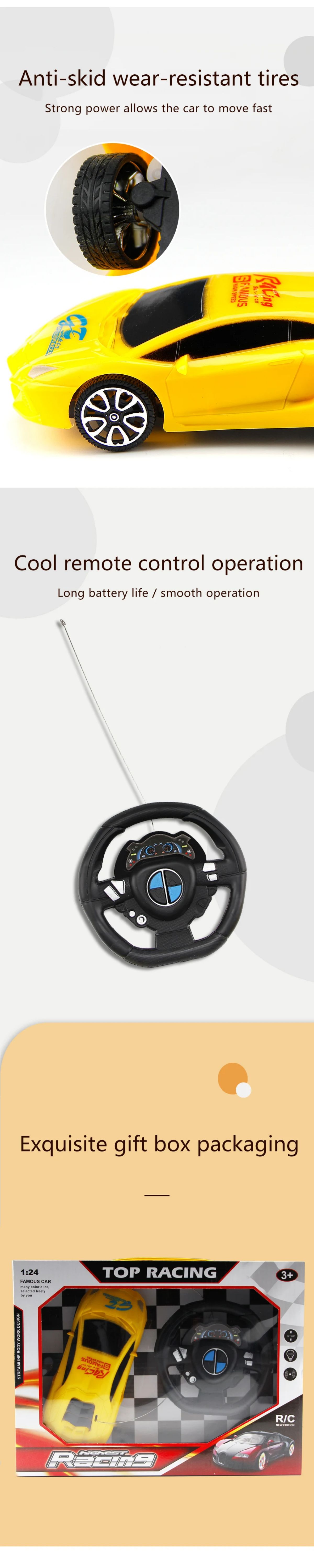 rc model car (2)