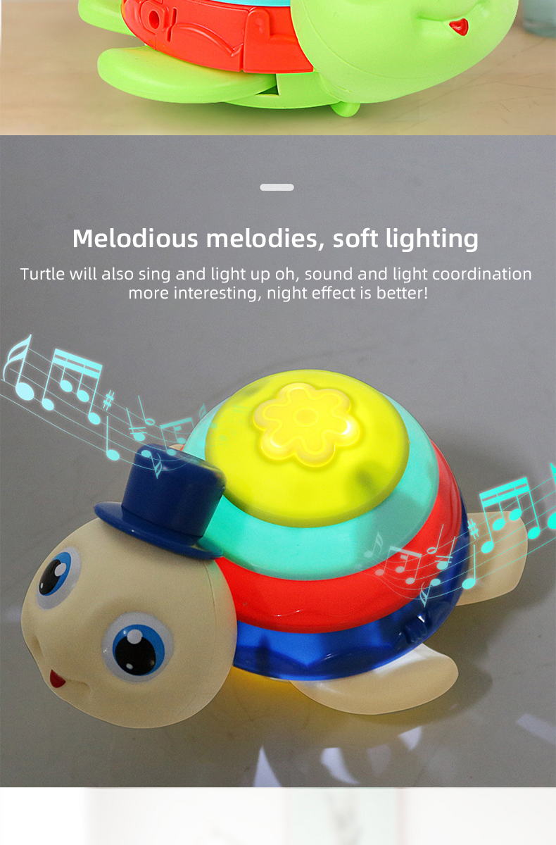 Turtle Toy (4)