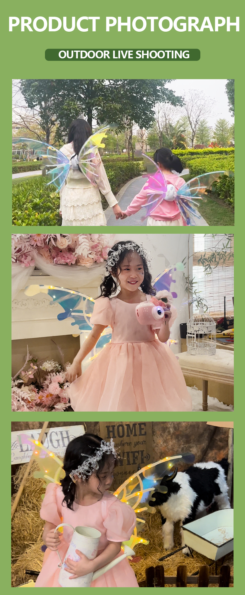 Butterfly Wings (2)