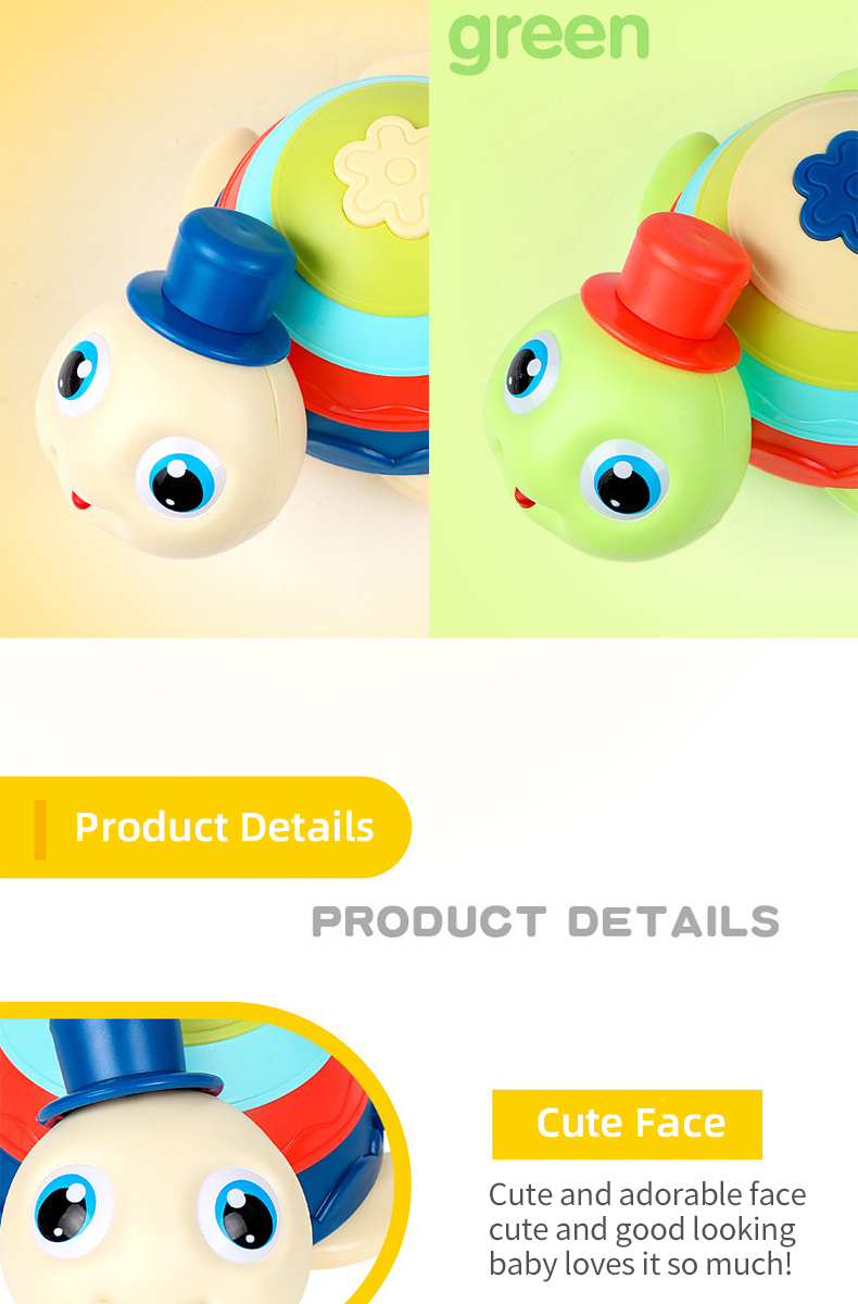 Turtle Toy (6)