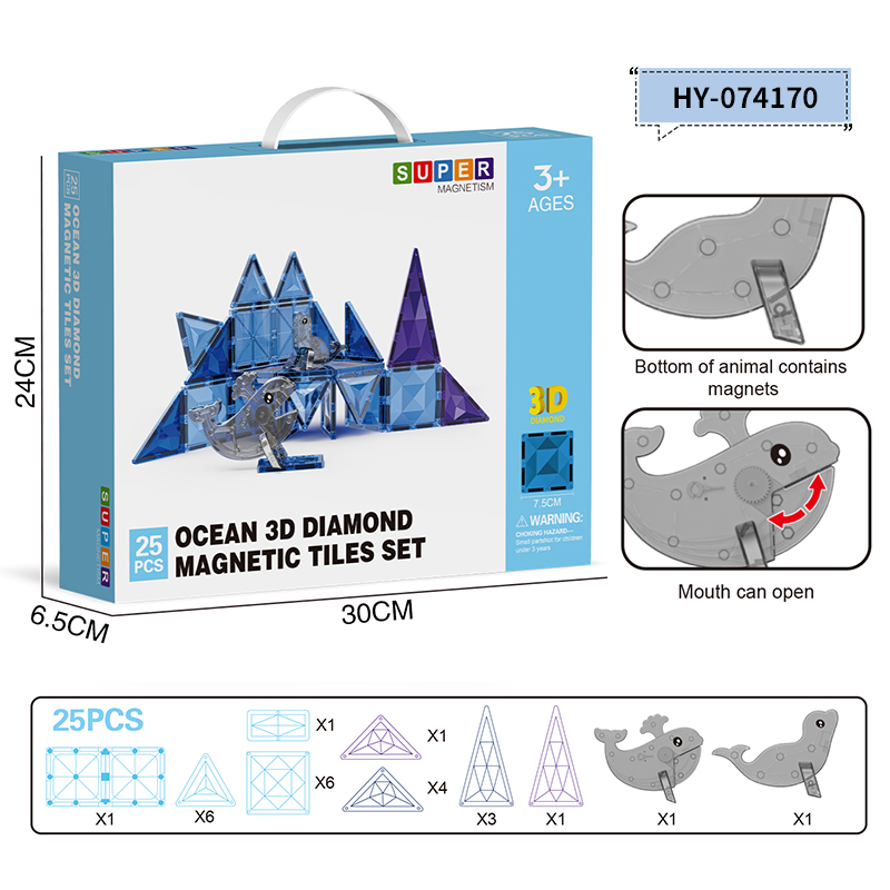 HY-074170 Magnetic Tiles